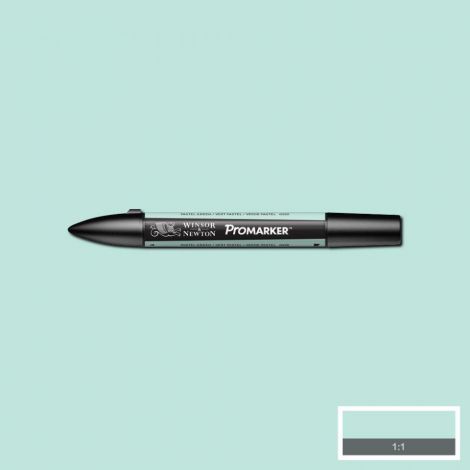Promarker Winsor&Newton G829 Pastel Green